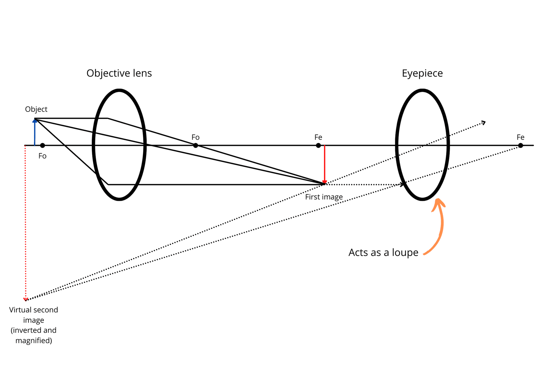 How to study Optics for FRCOphth Part 1